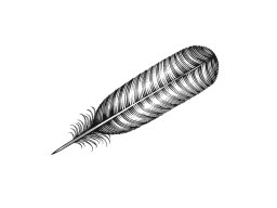 turkey feather art